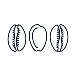 Three cowrie shells in sacred divination pattern for psychic love reading